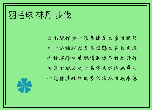 羽毛球 林丹 步伐