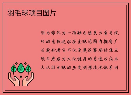 羽毛球项目图片